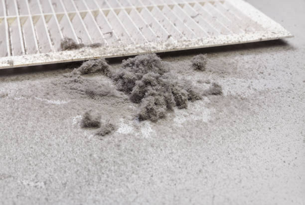 Best Affordable HVAC Duct Cleaning  in Belle Mead, NJ
